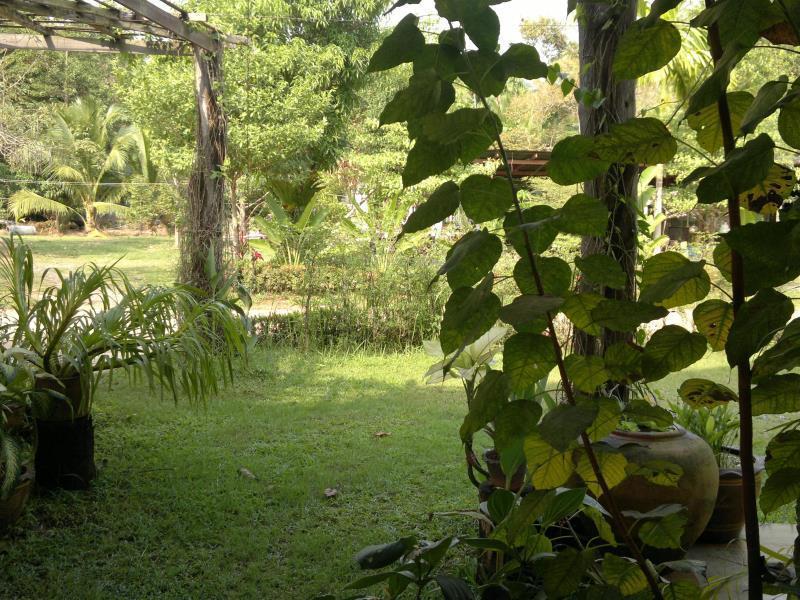 The Mangrove Hideaway Kohchang Ko Čang Exteriér fotografie