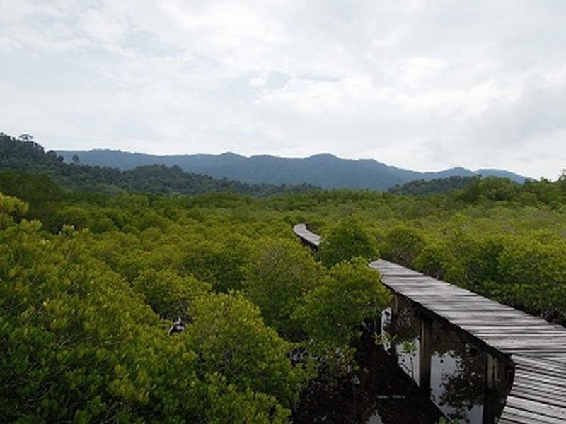 The Mangrove Hideaway Kohchang Ko Čang Exteriér fotografie